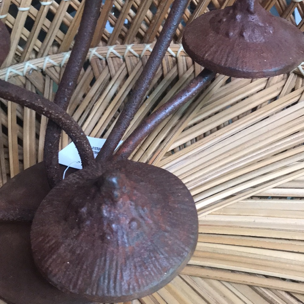 Anthropologie Whimsical Rustic Patina Iron Multiple Mushroom Tabletop Decor 🍄 - Picture 11 of 16